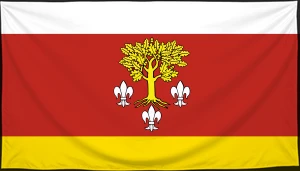 Флаг